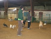 Enlarge photo 22