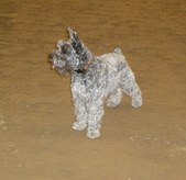 Enlarge photo 15