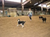 Enlarge photo 14