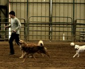 Enlarge photo 4