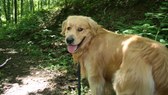 Enlarge photo 18