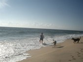 Enlarge photo 17