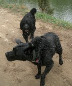 Enlarge photo 8