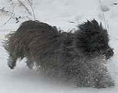 Enlarge photo 20