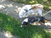 Enlarge photo 14