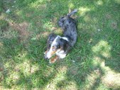 Enlarge photo 18