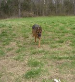 Enlarge photo 15