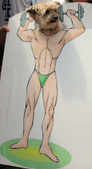 Enlarge photo 16