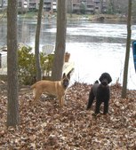 Enlarge photo 7