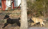Enlarge photo 16