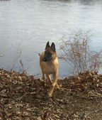 Enlarge photo 8