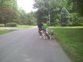 Enlarge photo 5