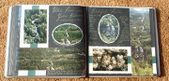 Enlarge photo 19