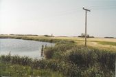 Enlarge photo 25