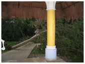 Enlarge photo 28