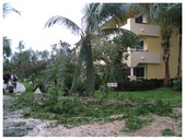 Enlarge photo 34