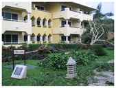 Enlarge photo 36