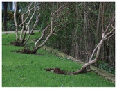 Enlarge photo 37