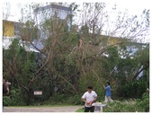 Enlarge photo 38