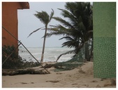 Enlarge photo 39