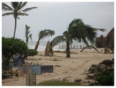 Enlarge photo 40
