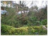 Enlarge photo 41
