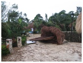 Enlarge photo 42