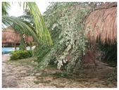 Enlarge photo 48