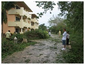Enlarge photo 52
