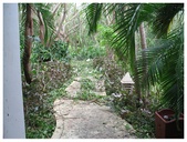 Enlarge photo 53