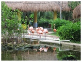 Enlarge photo 55
