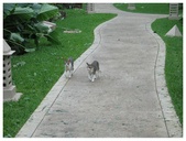 Enlarge photo 57