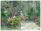 Enlarge photo 58