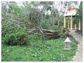 Enlarge photo 60