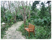 Enlarge photo 61