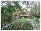 Enlarge photo 62