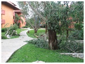 Enlarge photo 63