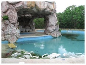 Enlarge photo 64