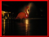 Enlarge photo 35