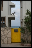 Enlarge photo 25