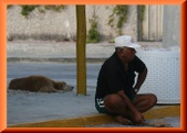 Enlarge photo 37
