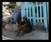 Enlarge photo 35