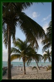 Enlarge photo 34