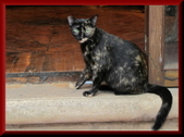 Enlarge photo 22