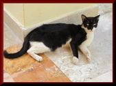 Enlarge photo 11