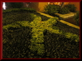 Enlarge photo 28