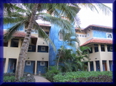 The Grounds