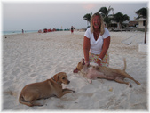 Enlarge photo 26
