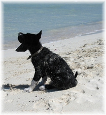 Enlarge photo 12