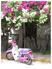 Enlarge photo 4